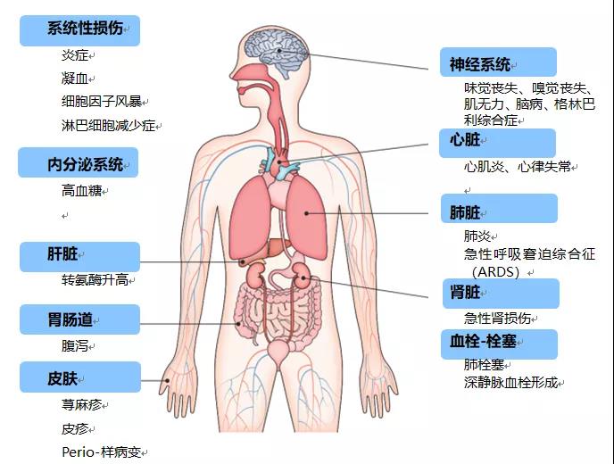 小旅|新冠患者后遗症残忍真相,临床表现累及全身多系统