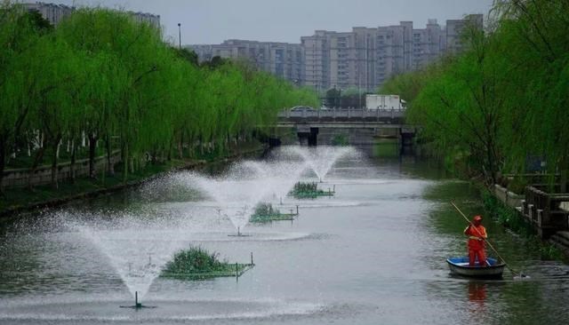 奇怪大世界 河道里发现!杭州男子失踪14天后无奇迹,家属质疑受公司电话刺激