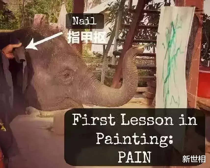 你喊的每一声“好萌”,背后都是她的“救命”