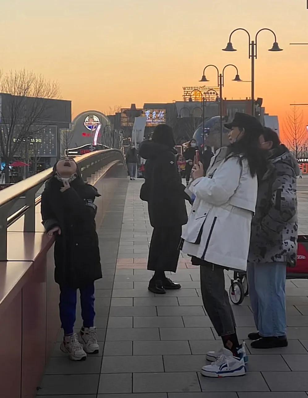 张晋|蔡少芬一家五口出游，张晋把儿子扛肩上展爸爸力，鱼蛋似好奇宝宝