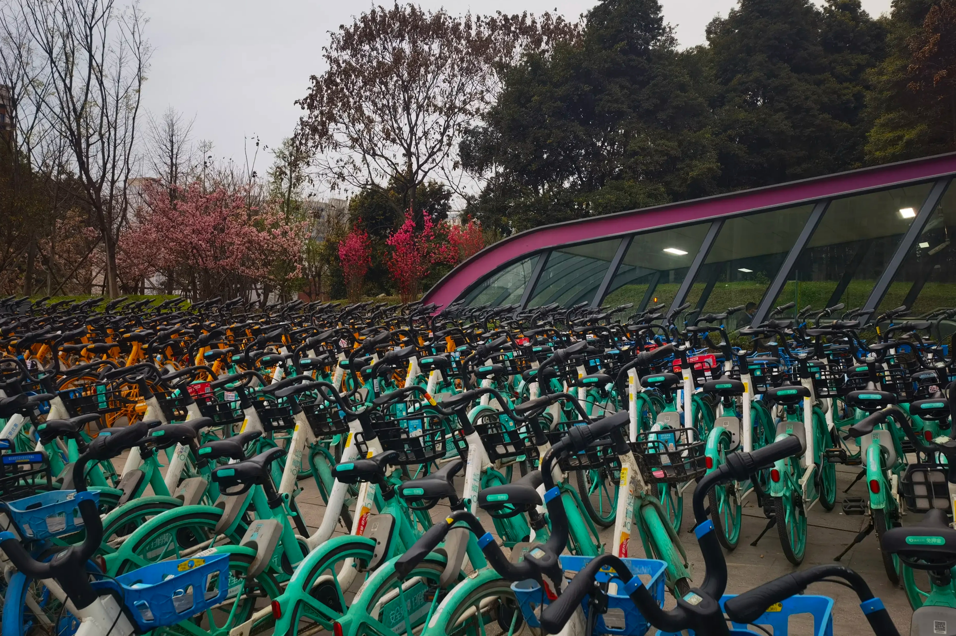 城市分析师 成都是全国游城市里体验感最好的，天天都有惊喜。