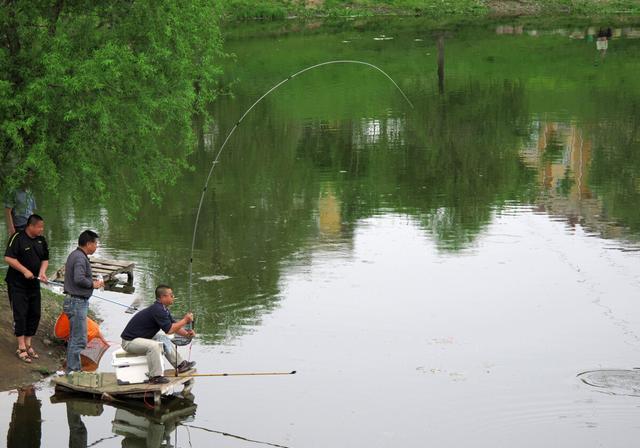 拔河|钓鱼老是切线，是线太细的原因？其实是这4点