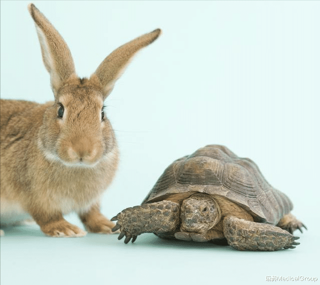 麻醉MedicalGroup|心率不到60次的注意了：你的心脏没毛病了！