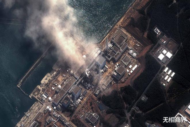 惡果已顯！福島黑鲉魚核輻射超標，日本的謊言被戳破瞭-圖9