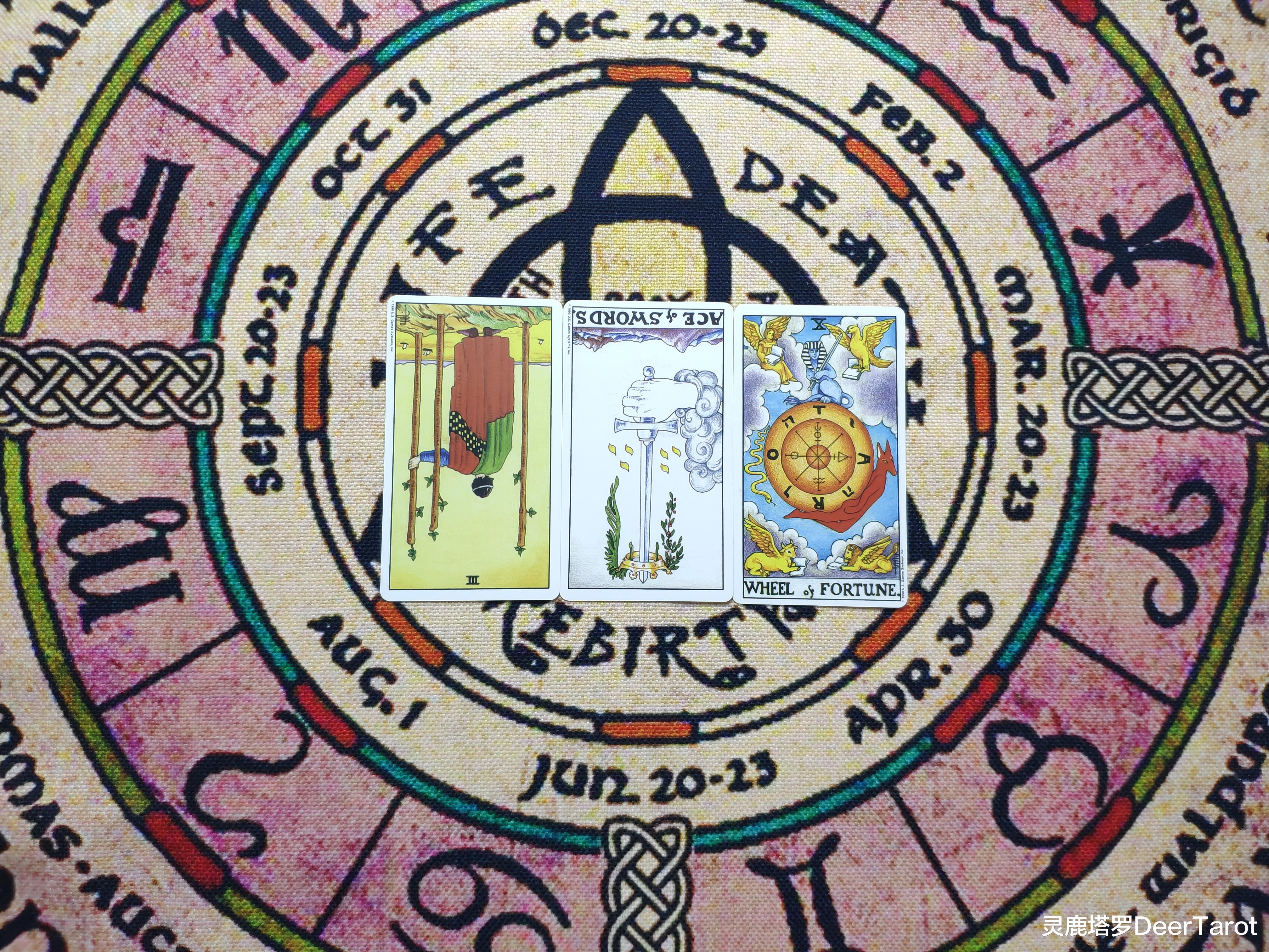 灵鹿塔罗DeerTarot 灵鹿塔罗：狮子座11月上，没有挽留，也没有回头