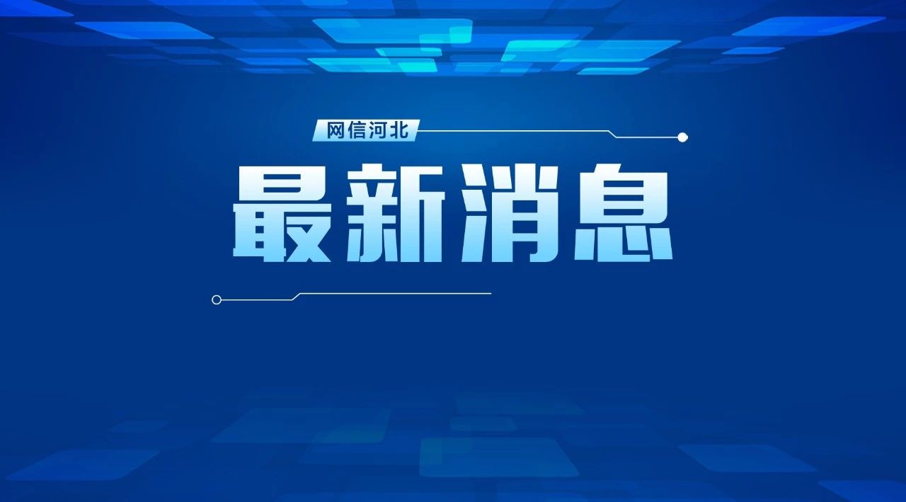 网信河北 最新!石家庄通报这些消息
