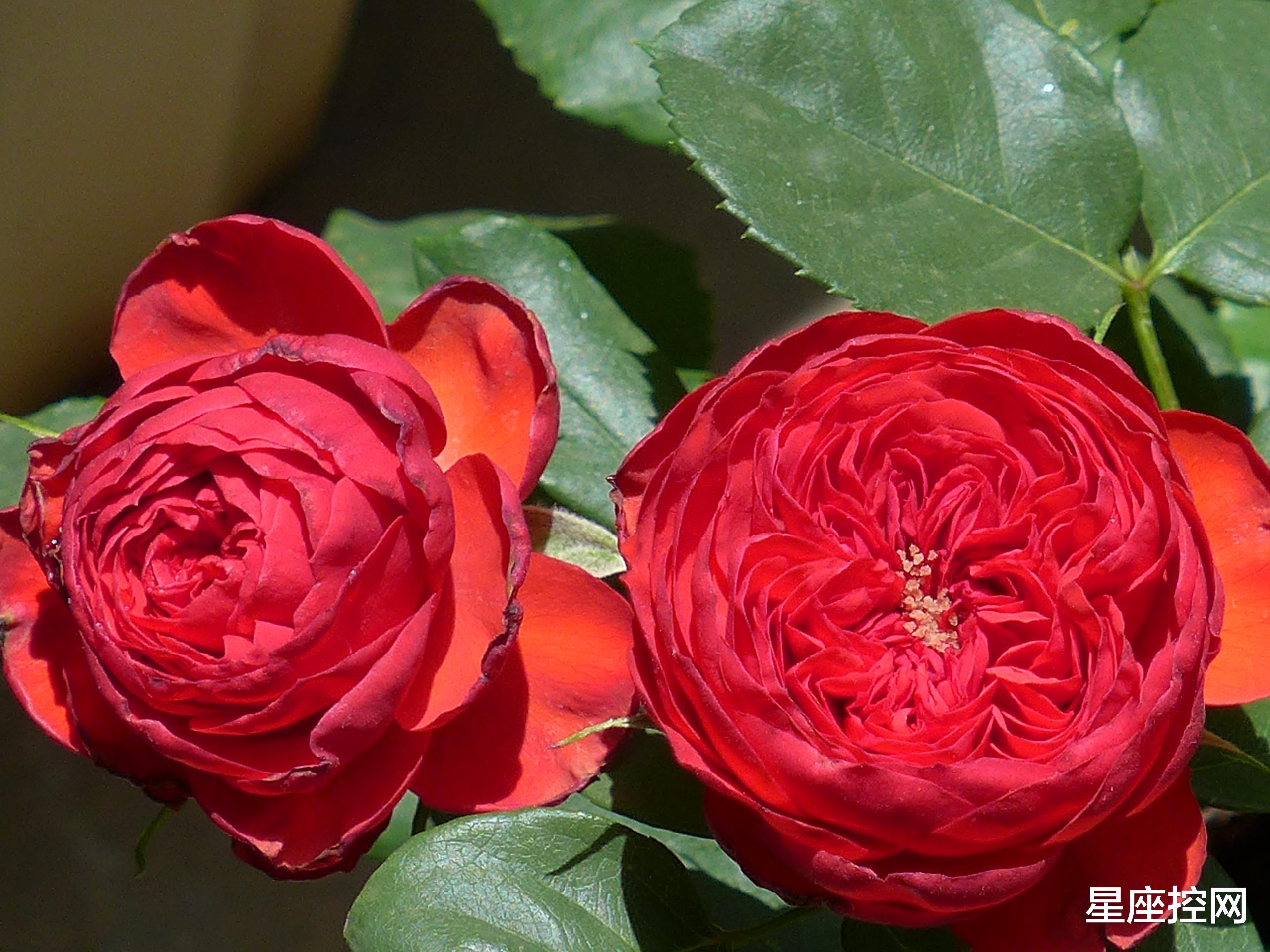 |哪几个日子出生的人，就算再艰难，事业也能凭借真本事，赢得尊重