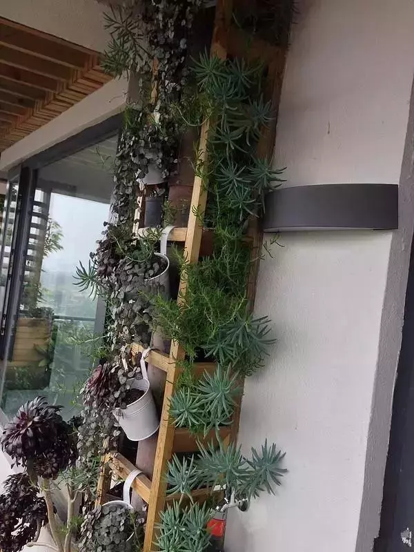 装修设计精选|朋友家阳台花园非常漂亮，我就纳闷，他家不用晒衣服吗？