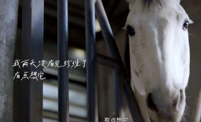 |丁真清纯颜值大翻车，眼神浑浊暗淡无光，身材发福似路人