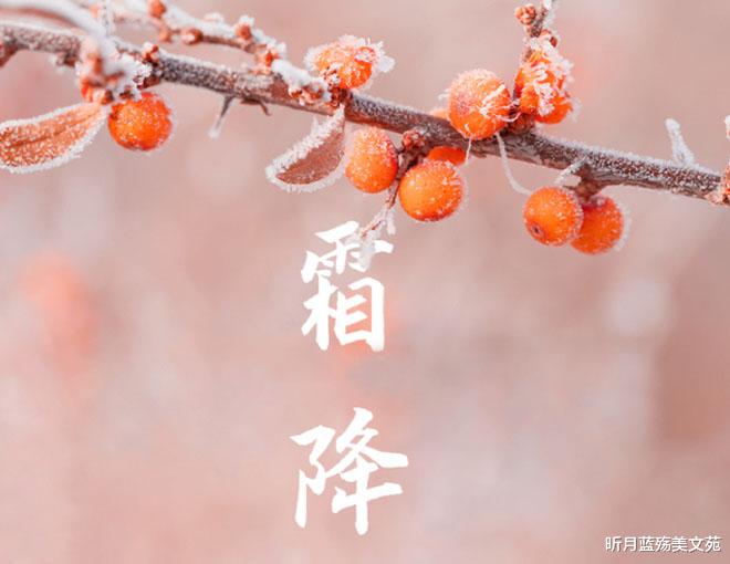 昕月蓝殇美文苑 霜降：人生从容，岁月安然