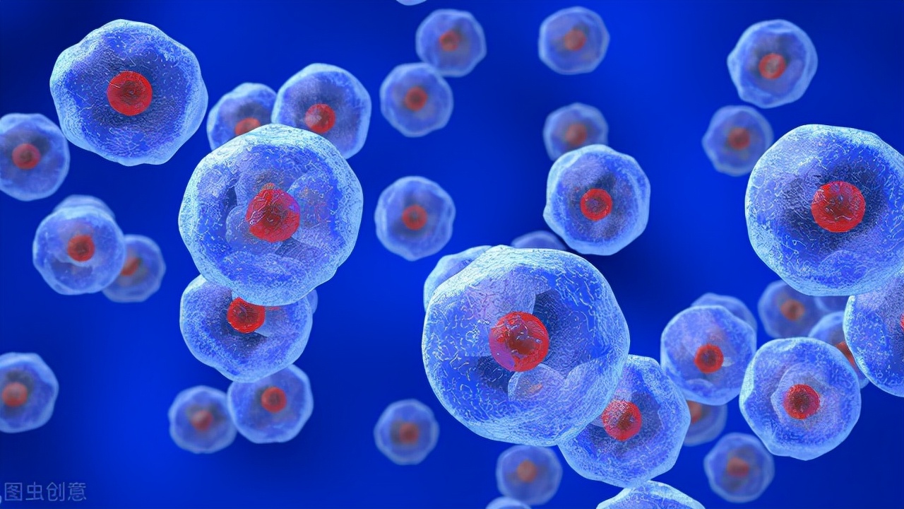 基因 地球上最初没有人，第一个人是如何来的？先有男人还是女人？