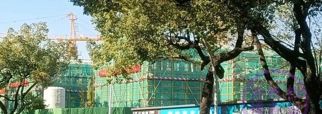 医疗保险|泰禾苏州两大烂尾盘双双复工！自救成功！楼市迎来巨大信心！