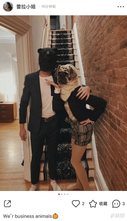 蕾雅·赛杜|陈赫前妻许婧晒万圣节妆容，被男友搂怀中俏皮搞怪，甜蜜十足