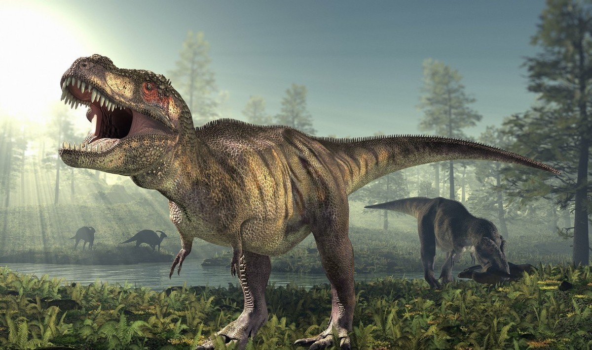 中国科学院 蜥蜴是典型的爬行动物，有哪些蜥蜴适合作为我们的宠物呢？