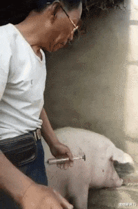 倩倩聊育儿|“女朋友穿成这样去做家教，到底什么意思？是我想歪了吗！”哈哈哈哈