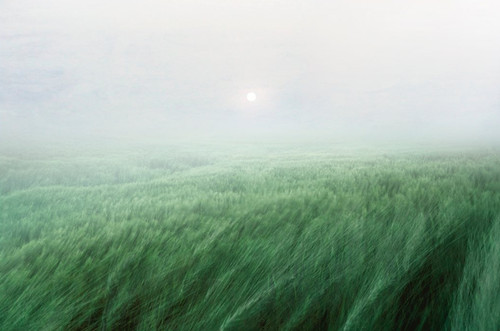 希腊摄影师 Petros Koublis 镜头下的飘渺大自然