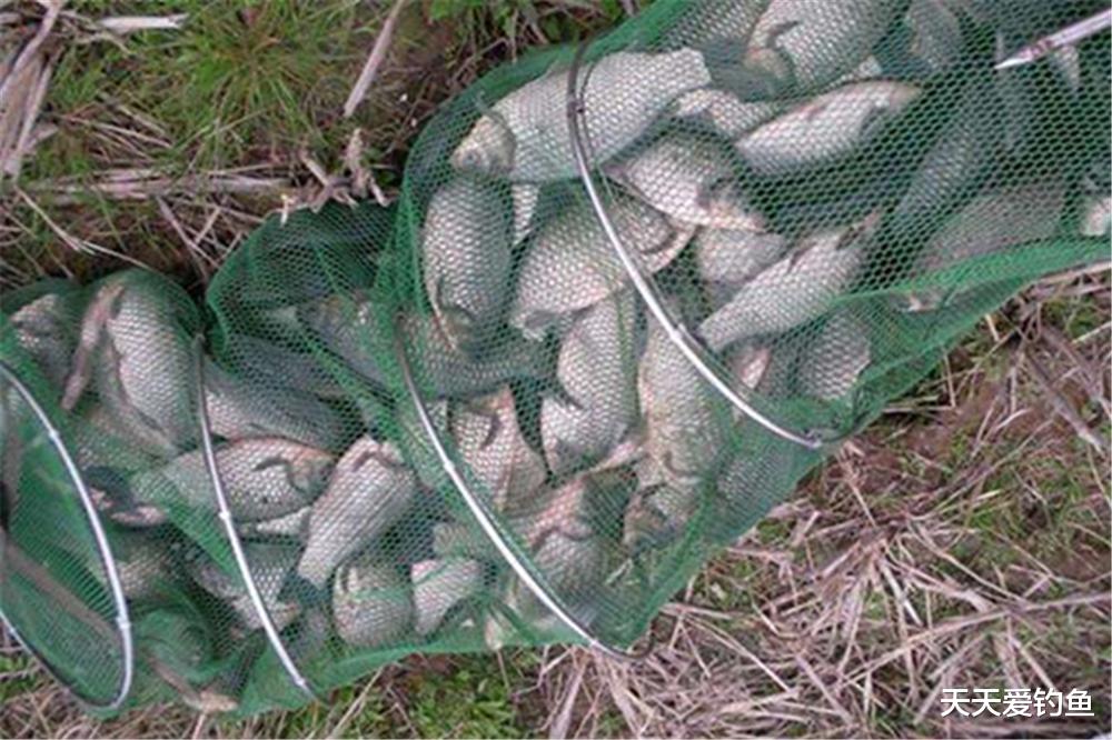 空军|冬钓6字要诀：冬季常“空军”不要怪天冷，是这些要点没掌握！