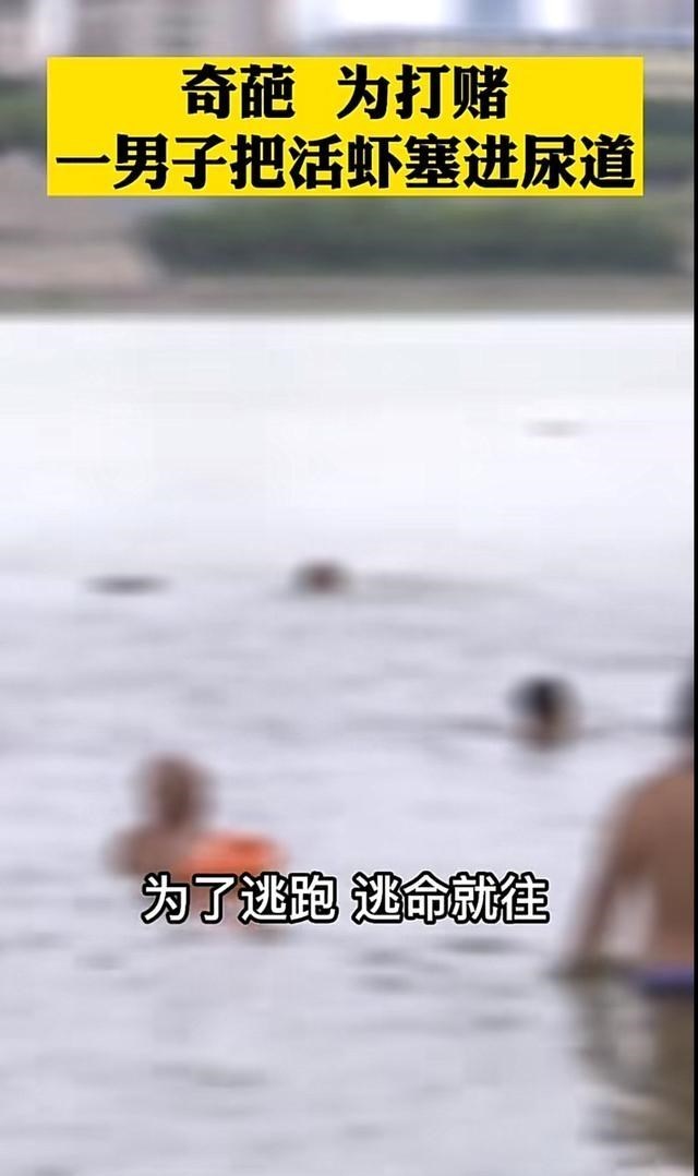 阳光语言矫正说|为了和朋友打赌,男子竟把活虾塞到自己的尿道里!也是醉了