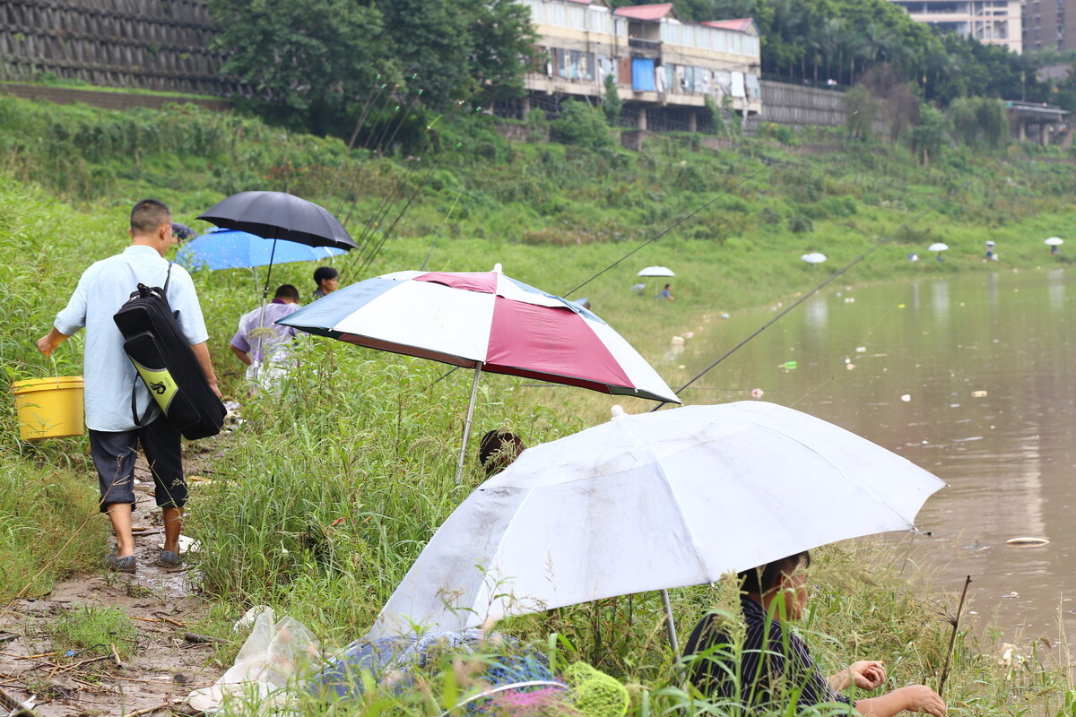 |所谓的“钓无定法”，其实就是让钓友们在垂钓中懂得合理变通