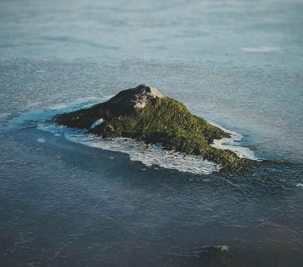 海之归墟|32张带有“误导性”的照片,你能一眼看明白吗?