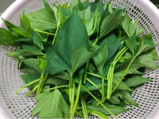 蒙蒙聊星座|4种中药堪称“烂肝专业户”,医生提醒:想肝保持强壮,尽量少吃