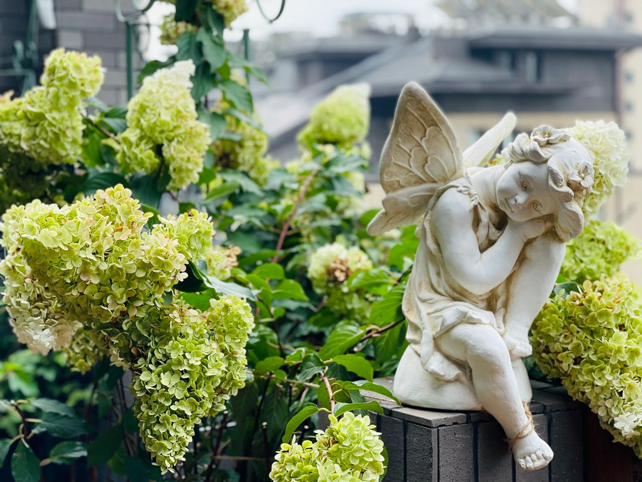 花2万元，改造25㎡别墅露台，这么漂亮的屋顶花园，有撩到你么？