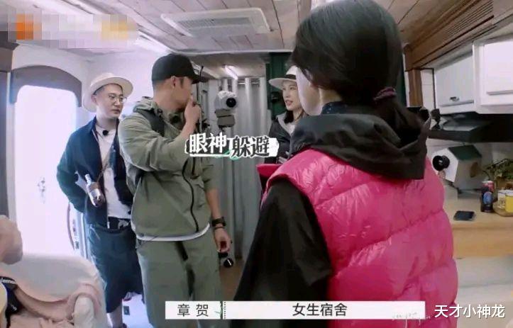 郭柯宇|章贺郭柯宇《再见爱人》：十年婚姻“互相伤害”，观众喊话劝复合