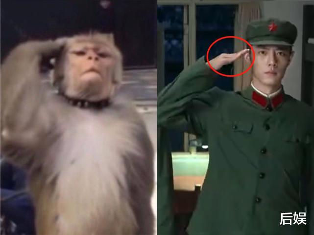 肖战|肖战不适合演军人?变成男二不知足,《王牌》中的敬礼手势被多重吐槽