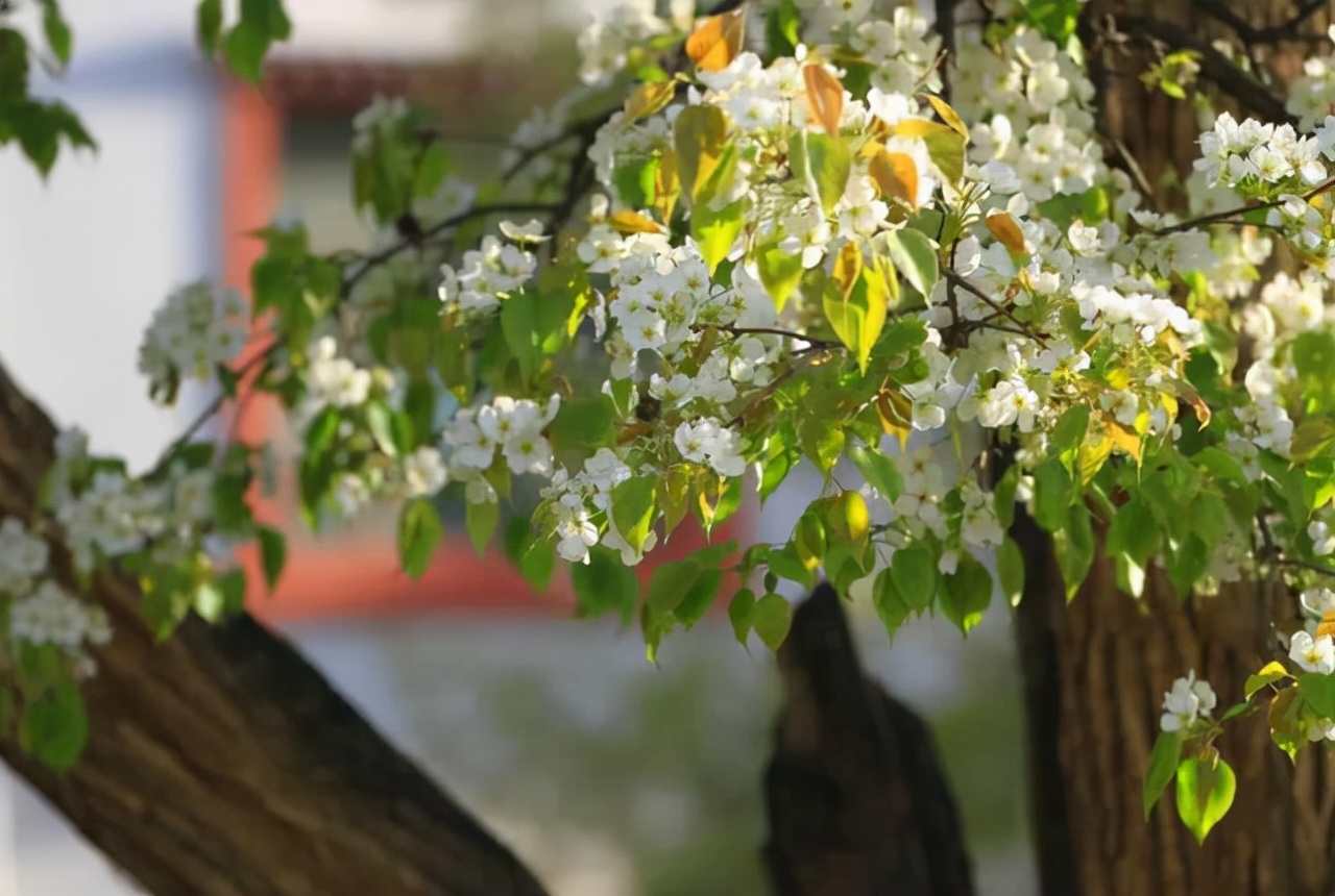 青海|青海省的“小江南”，西宁市的“后花园”，这个小城，你非去不可