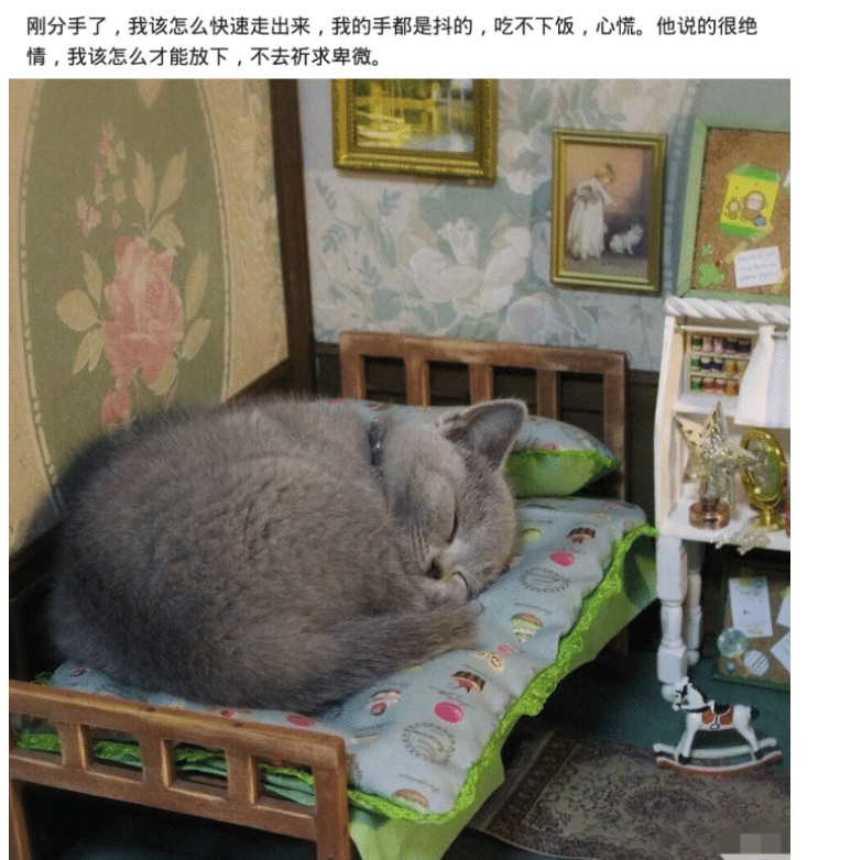 “服务区上演男女同厕现象,女性冲进男厕所一起抢位置,真是尴尬”