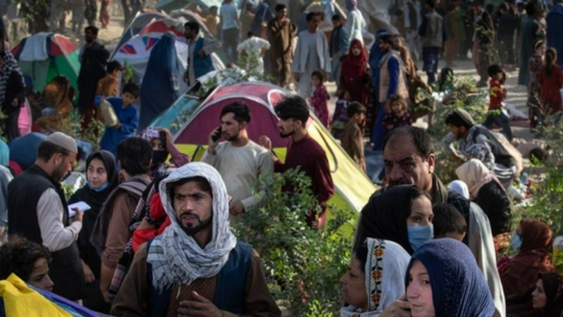 小朱聊育儿|90天内喀布尔失守？美情报局给出时间表，塔利班：这是关键性一战