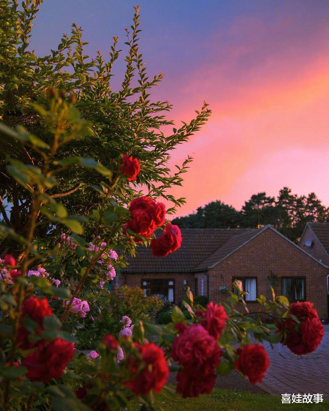 喜娃故事|女子车祸赔偿40万,回了一趟娘家只剩一万五,丈夫铁了心要离婚