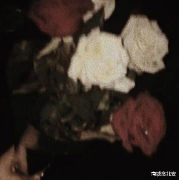 南城念北安|作为一个成年人，这四个道理，越早明白越好