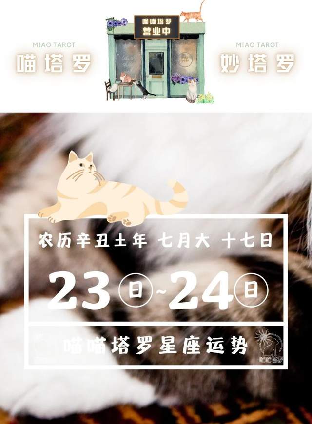 喵喵的塔罗|十二星座运势：8月23日~8月24日