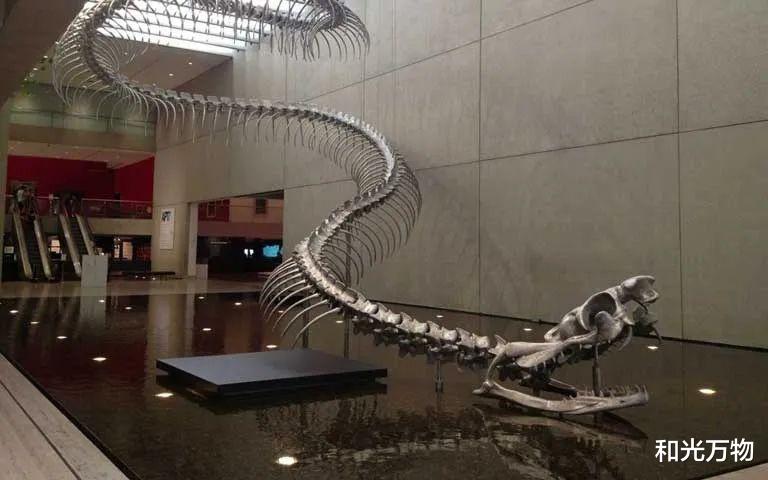 泰坦蟒 地球持续高烧20万年,创造史上最大的蛇,未来或随地球升温再现?