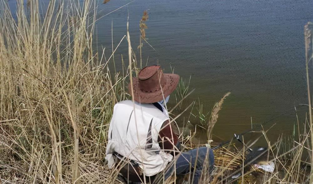 |作为野钓老手,如果连这3个问题都没弄懂,钓鱼始终是一门玄学