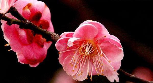 吴芬说汽车 母亲是我生命里的一盏明灯！