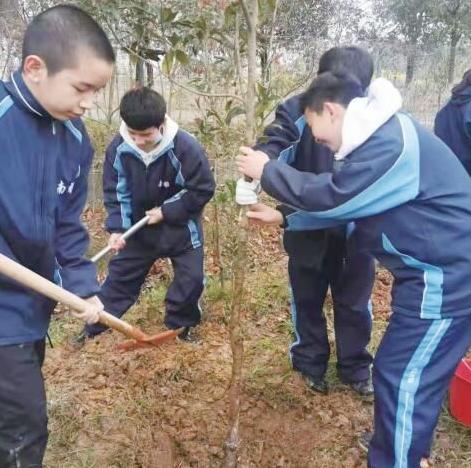 株洲发布 绿化美丽家园 建设公园城市