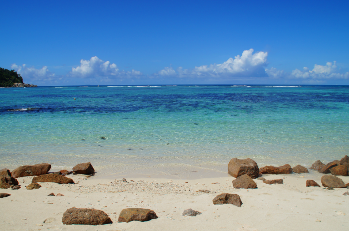 本人讲星座|情商高，识大体的星座，擅长于攻心，心思很多，但始终不轻易展露