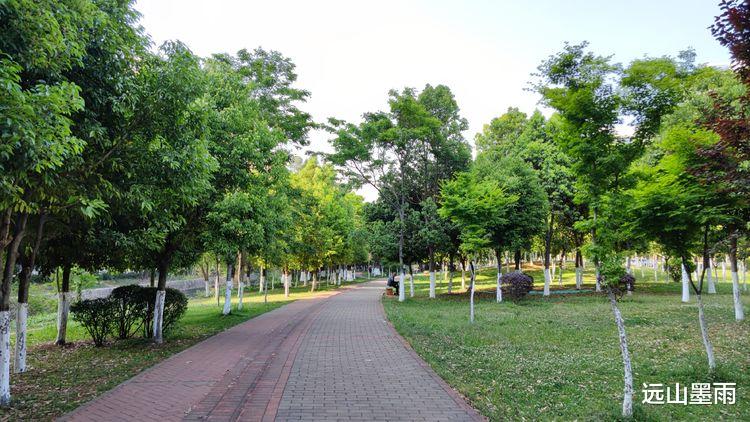 远山墨雨 昆明盘龙江边绿树浓荫、叶子花开，春来江水绿如蓝的景致，美