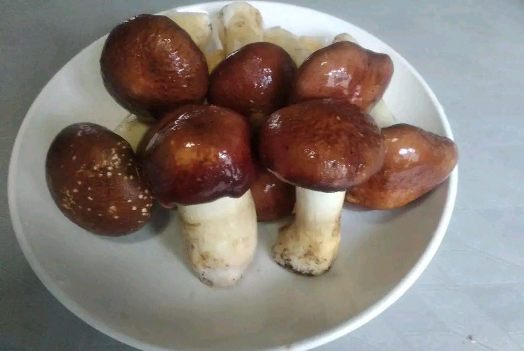 肝脏|三伏天出汗多，6种高钾食物记得常给家人吃，营养消暑平安度伏天