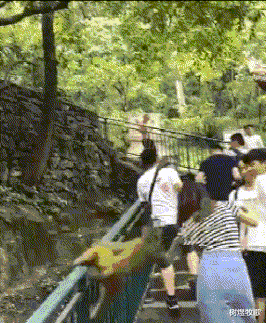 长寿 “找托尼老师剪的发型，收费要5800”看了成品才知贵在哪