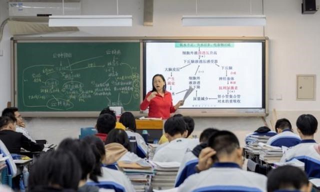 考试|总分第一考进教师编，却因交过社保被淘汰，原来这些也会影响考编