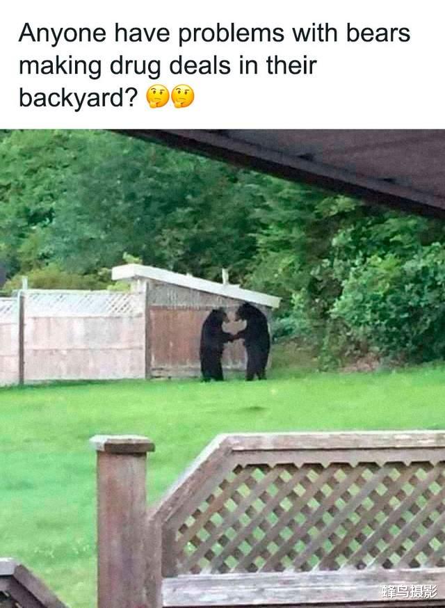 俄罗斯 32张照片看真实的俄罗斯，AK在生活中的妙用，熊是一种温顺的宠物