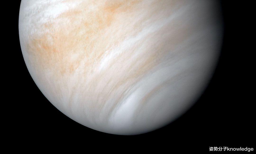 金星疑似发现生命?科学家发现关键物质,或许是好消息