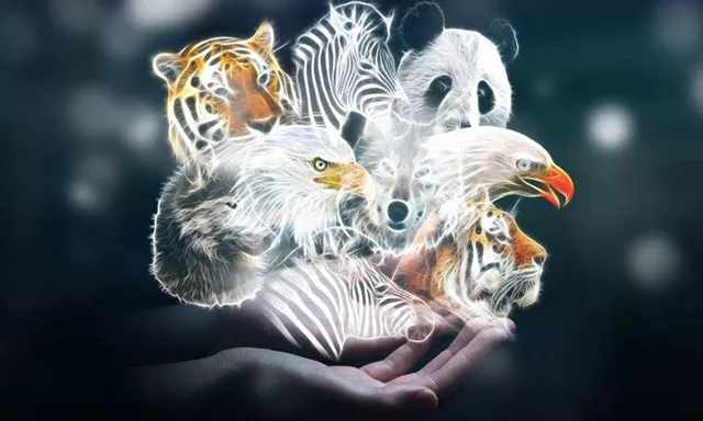 培森家园 世界动物日——保护它们就是保护我们的家园