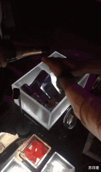 苏月瑾 “为什么有的人喜欢半英文半中文讲话？”