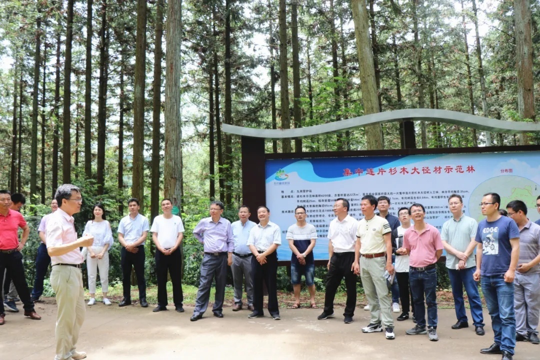 红色文化 【授牌仪式】福建师范大学授予上杭白砂国有林场“课程思政教学实践基地”荣誉牌