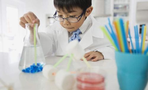 昆虫 科学实验带给你的快乐,不只有学习的乐趣,更是人生的积累!