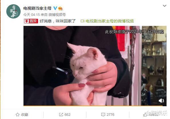 大v|发了澄清视频也没用！知名大v实名发帖质疑《当家主母》剧组